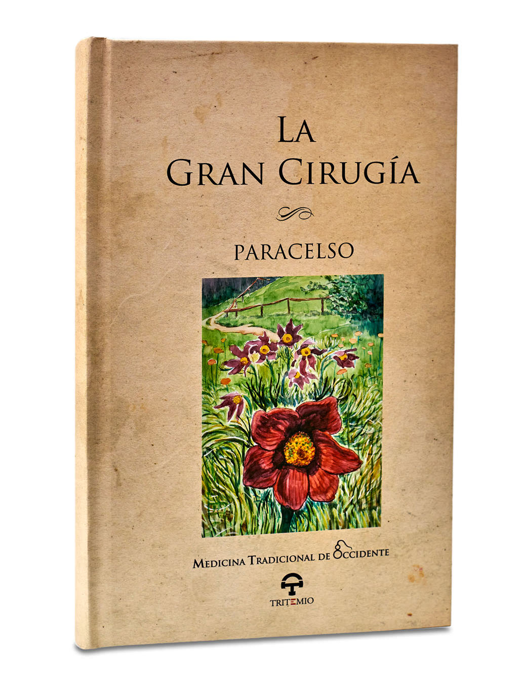 LA GRAN CIRUGÍA